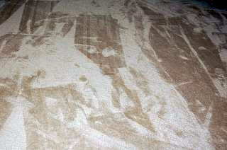 cleancarpetstreaks.jpg